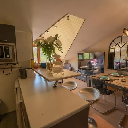 Inmobiliaria - Admite Mascotas * Formigal
